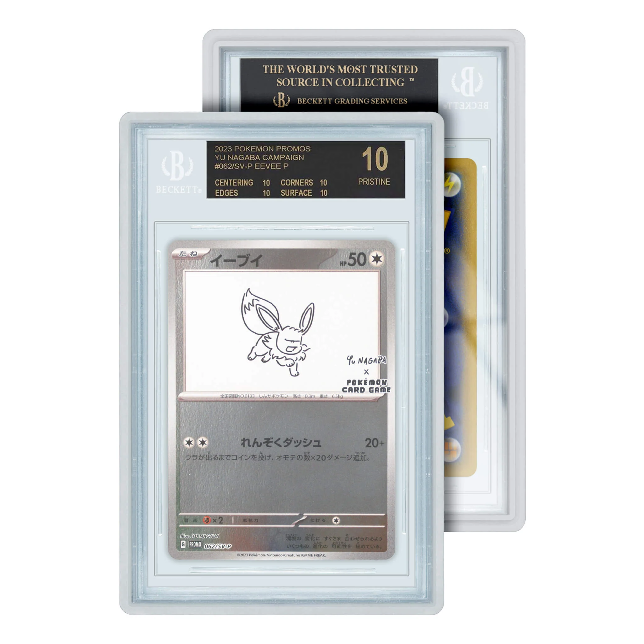 Standard Case (BGS) - Image 12